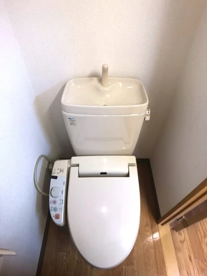 ルミナスライフ