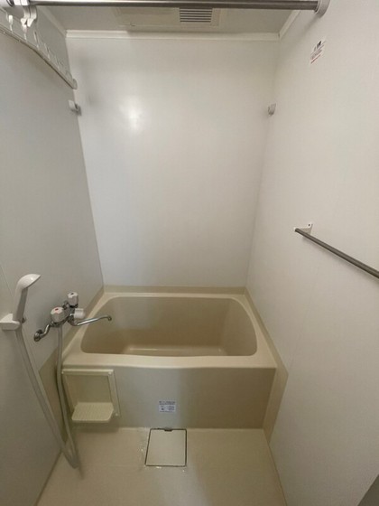 ルミナスライフ