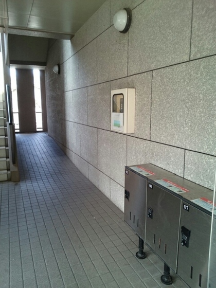 パルテール桑の木