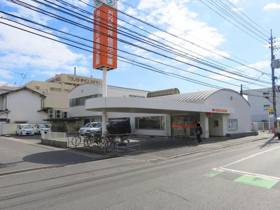 パルテール桑の木