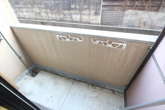 ライブオークサカモト