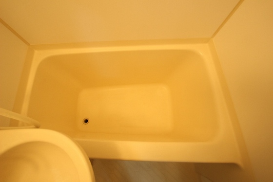 ライブオークサカモト