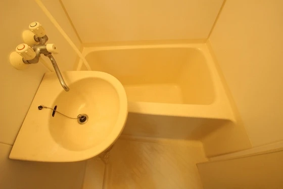 ライブオークサカモト