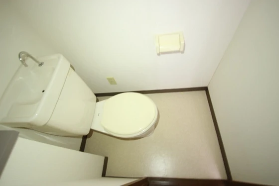 ライブオークサカモト