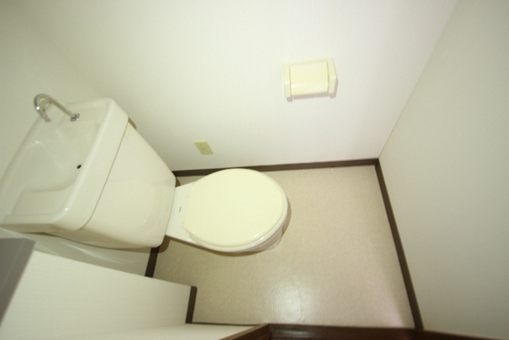 ライブオークサカモト