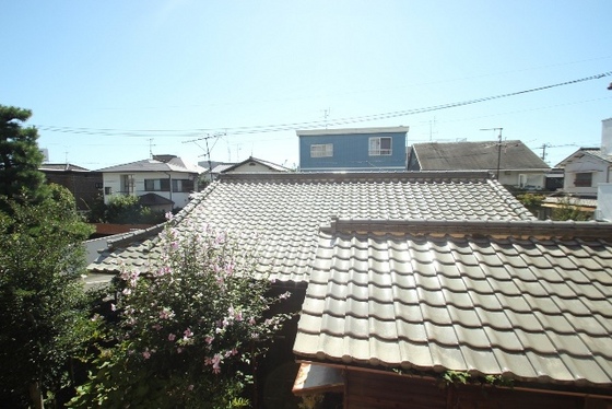 ライブオークサカモト