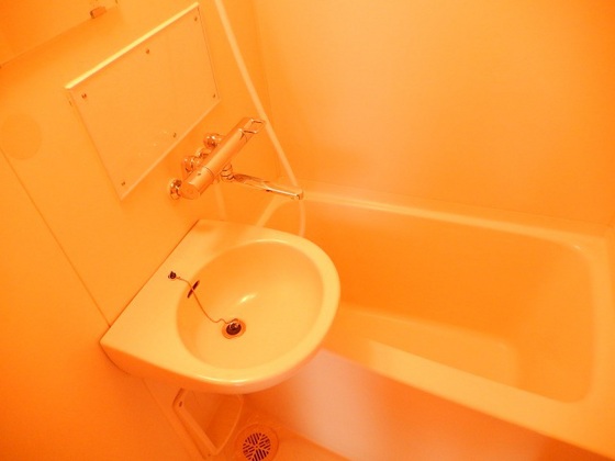 ライブオークサカモト