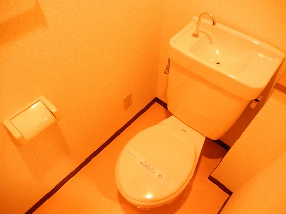 ライブオークサカモト