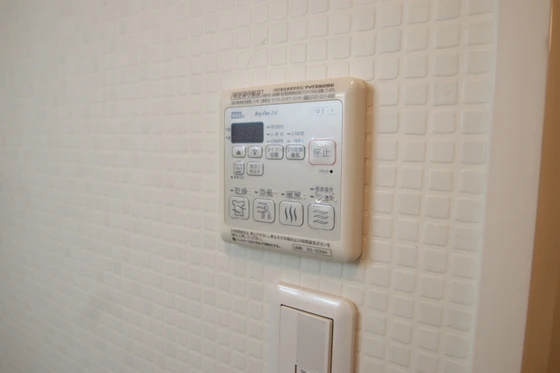 ラフィネ・ブラン