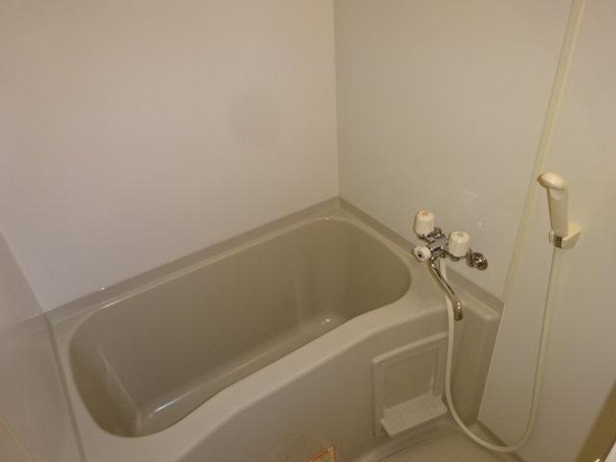 ミューズバレイ