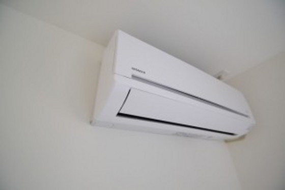 月光江波本町 さくら