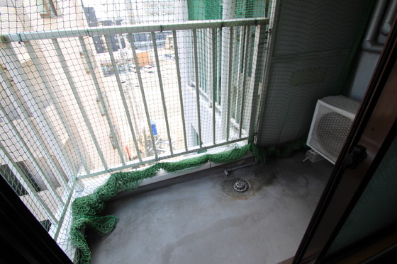 コスモクイーン鹿田