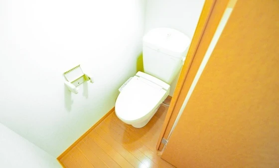 レオパレスアルプス京山