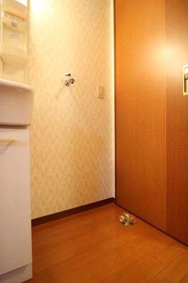 ラ・パルテール津島京町 五番館