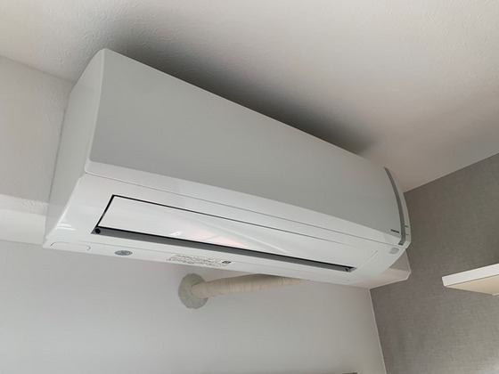 ステイタス小網