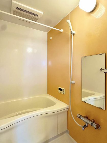 プロヌーブ大福