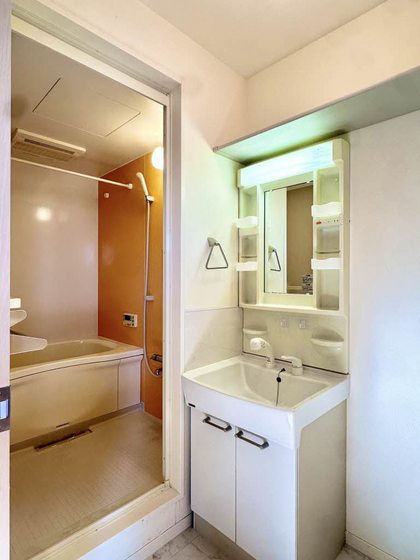 プロヌーブ大福