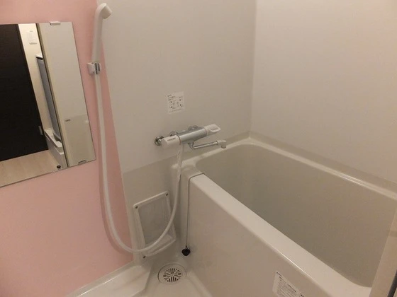 レオネクスト清心