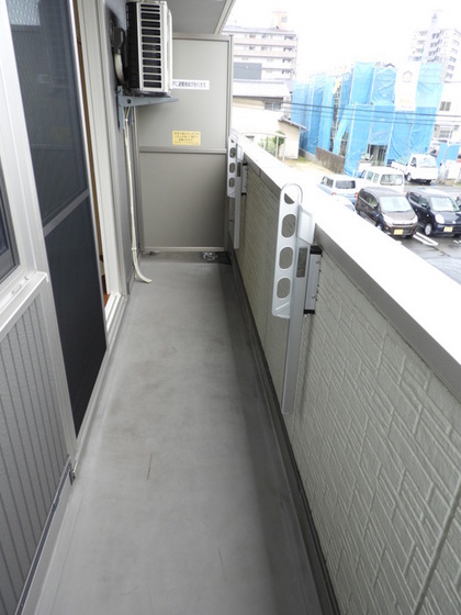 フィールド ハタ