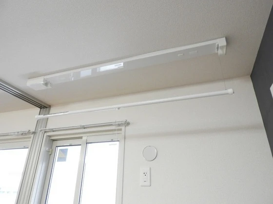 フィールド ハタ