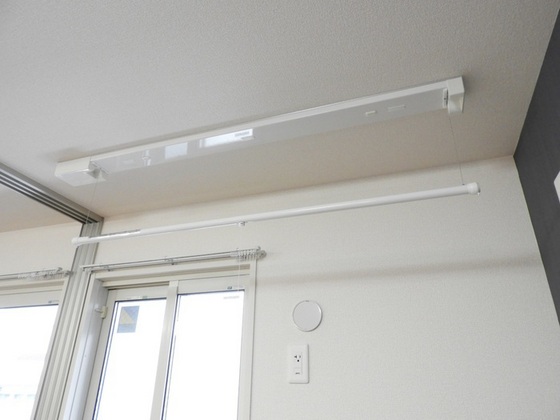 フィールド ハタ