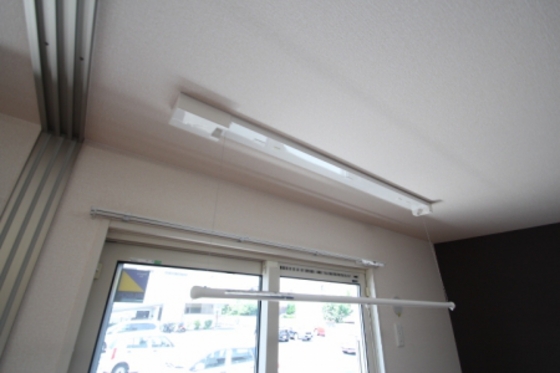 フィールド ハタ