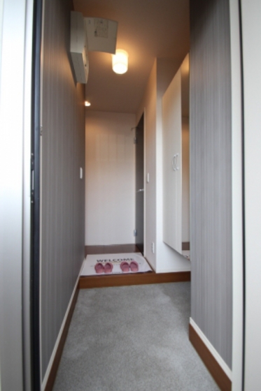 フィールド ハタ