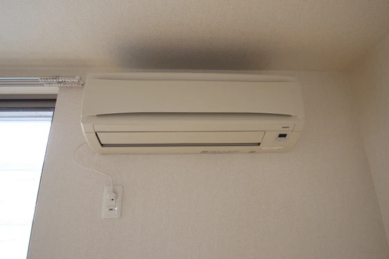 ベリーオーライ