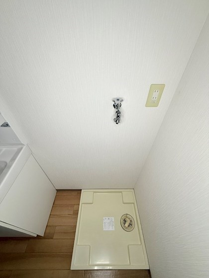 ウィスティリア伊福