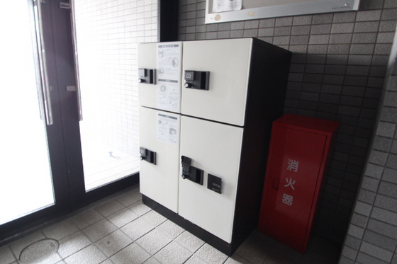 ウィスティリア伊福