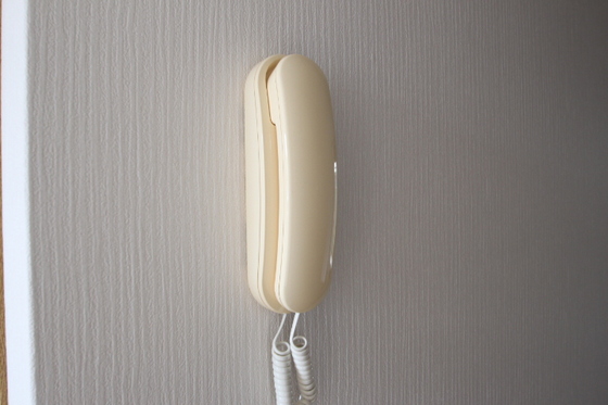 アルエット国富