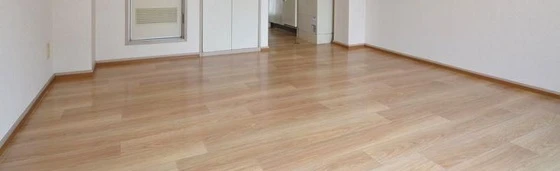 ノーブルハイツ鹿田