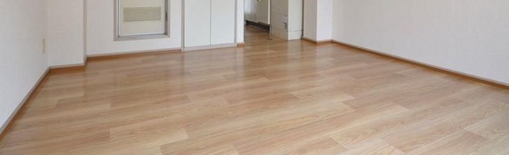 ノーブルハイツ鹿田