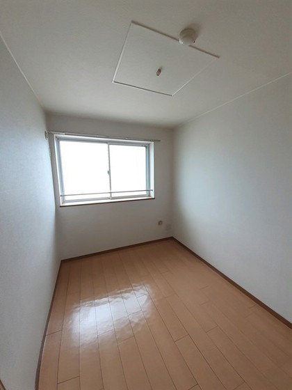 エルディムパディB