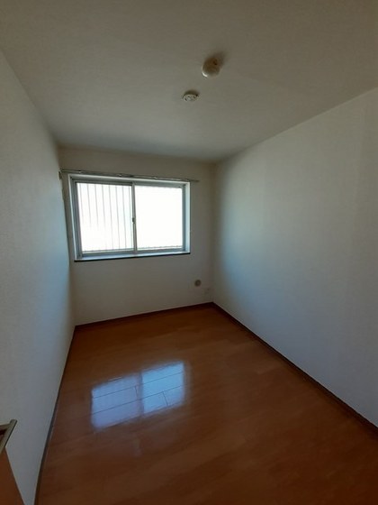 エルディムパディB