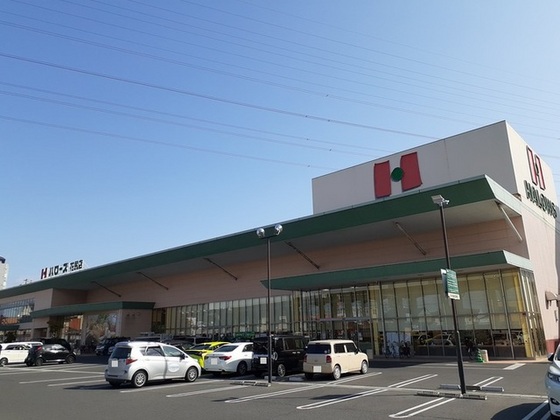 エルディムパディB