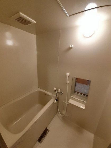 エルディムパディB