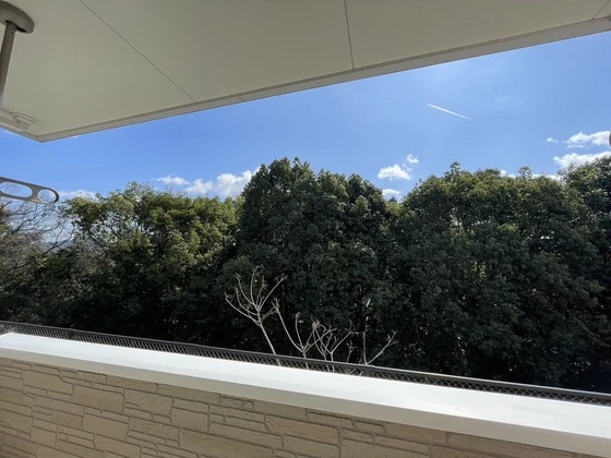 ラ・リューア D