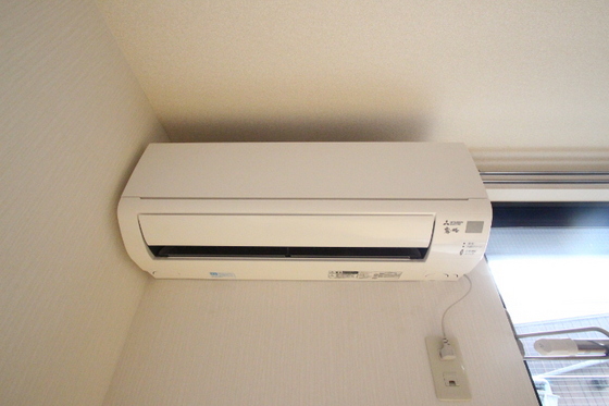 ピュア・ライフ