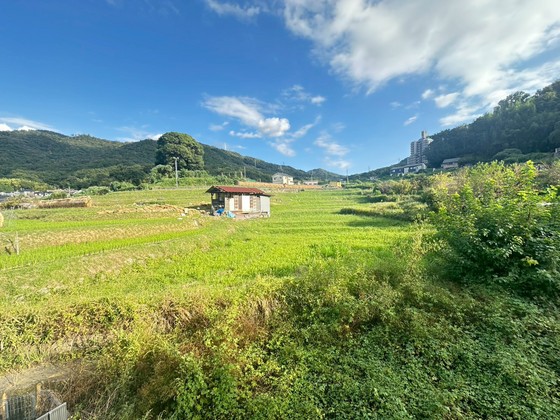 シャーメゾン矢野 A棟