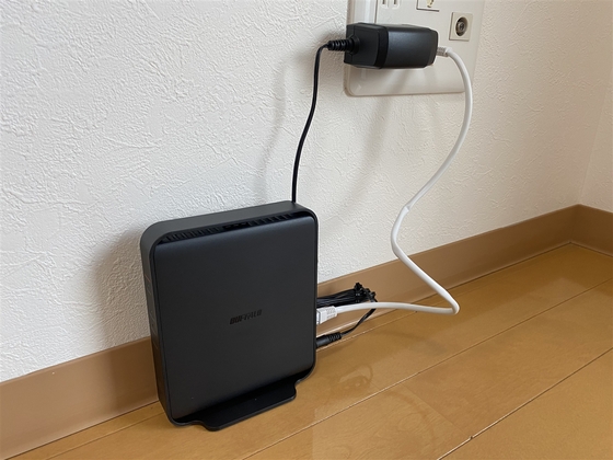 ラホヤハナクマ