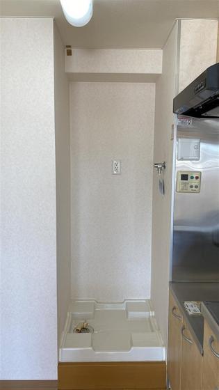 ラホヤハナクマ