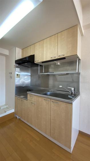 ラホヤハナクマ