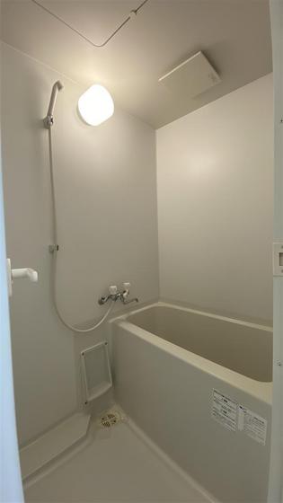 ラホヤハナクマ