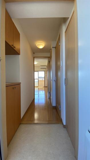 ラホヤハナクマ