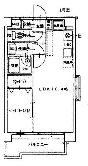 ラホヤハナクマ