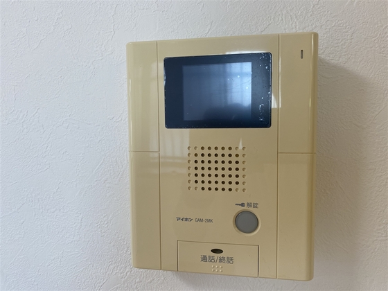 ラホヤハナクマ