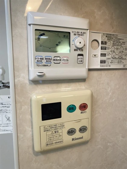 ラホヤハナクマ