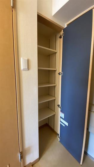 ラホヤハナクマ