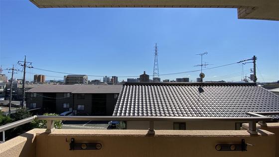 ラホヤハナクマ